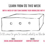 The Learn from Us week Image. SEO Best Practice, content strategy, social media and Google Analytics.